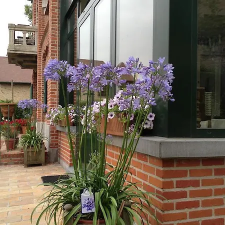 住宿加早餐酒店 赫特蒂多罗兹乌尔住宿加早餐旅馆
